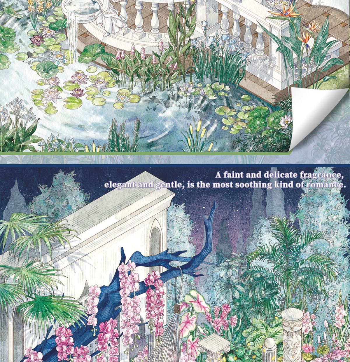 Orchid Creek （XL Size)